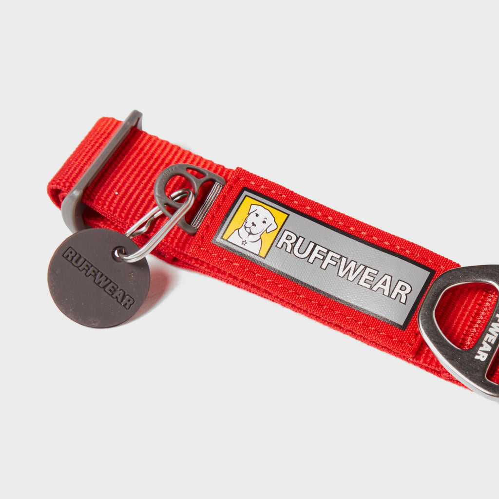 Front Range Dog Collar