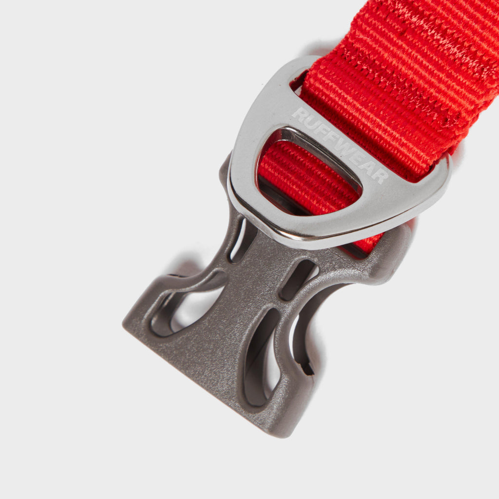 Front Range Dog Collar