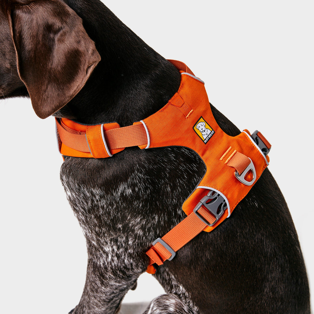 Front Range™ Dog Harness