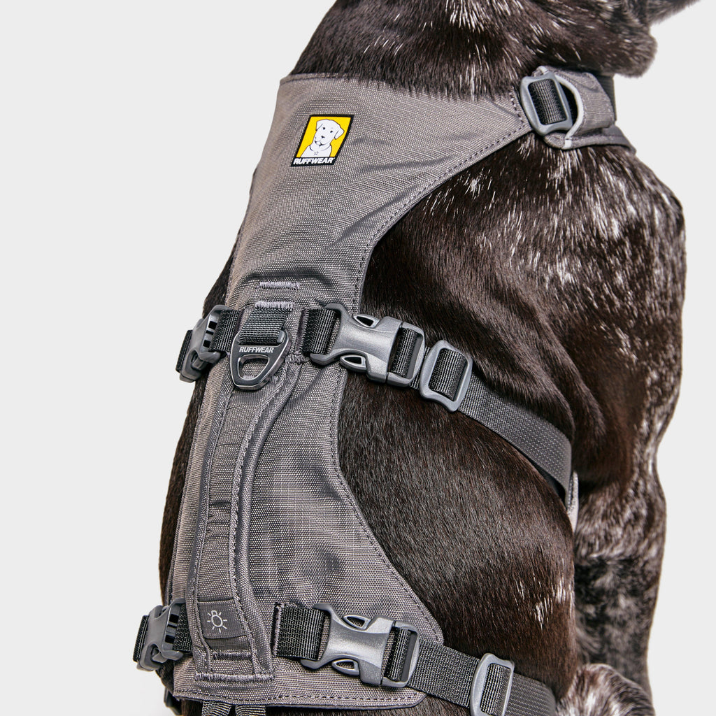 Flagline Dog Harness