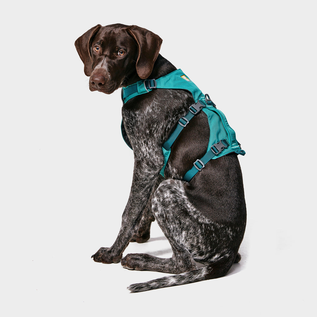 Flagline Dog Harness