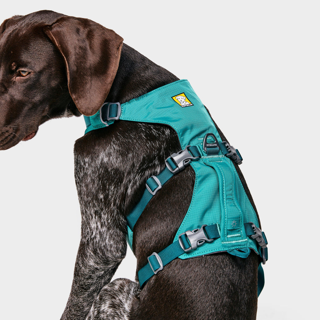Flagline Dog Harness