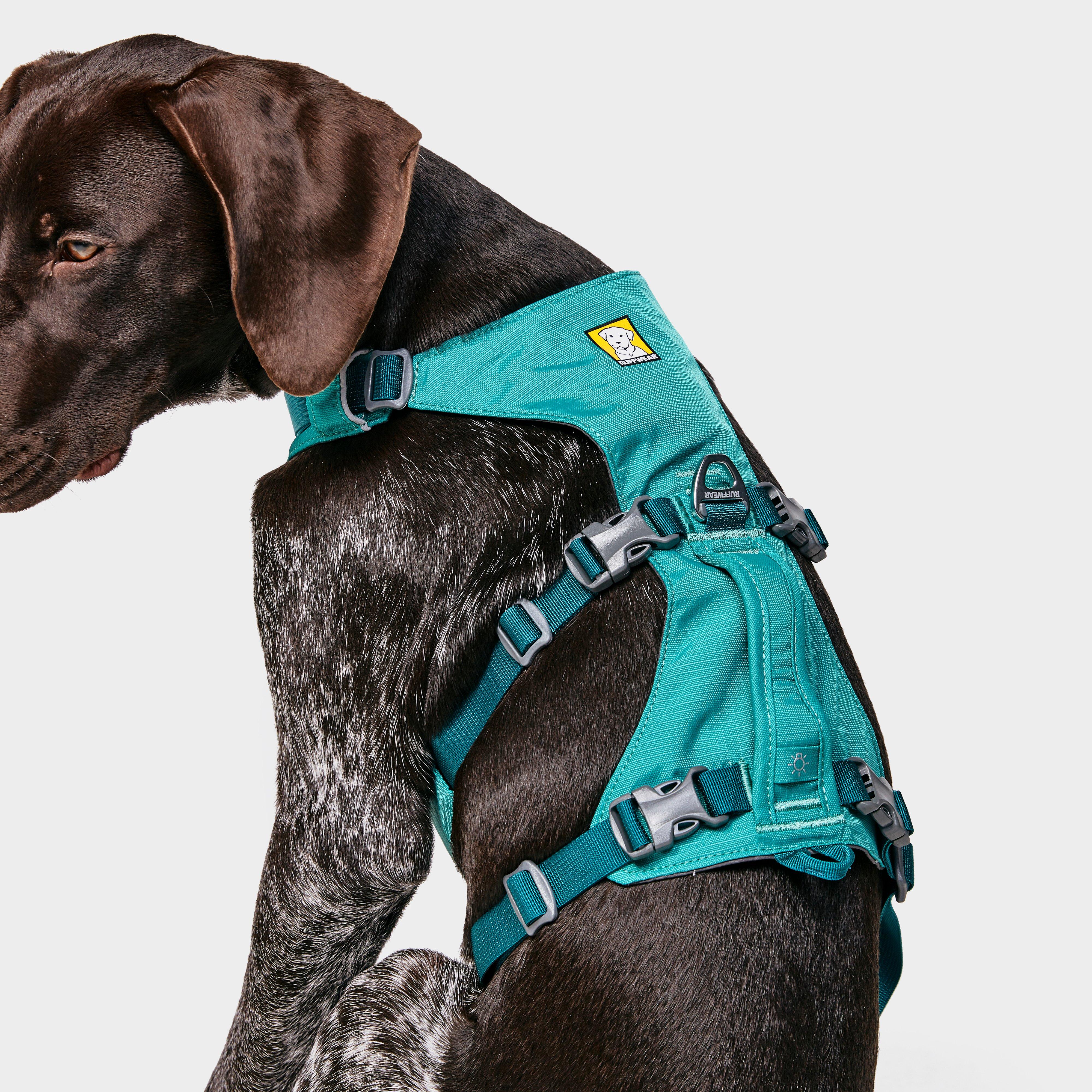 Flagline Dog Harness