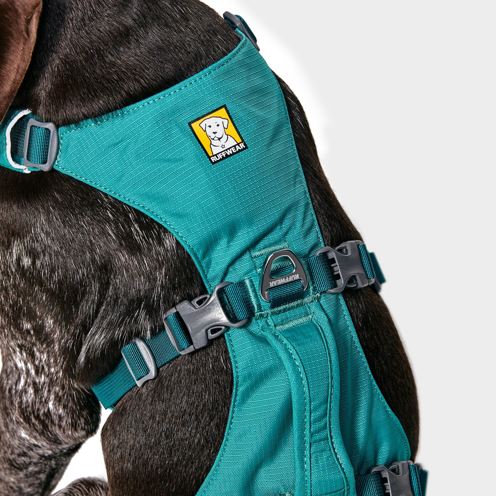 Flagline Dog Harness