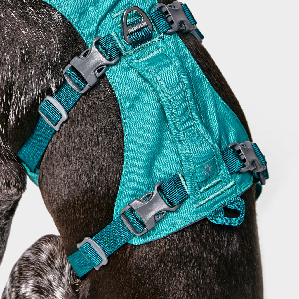 Flagline Dog Harness