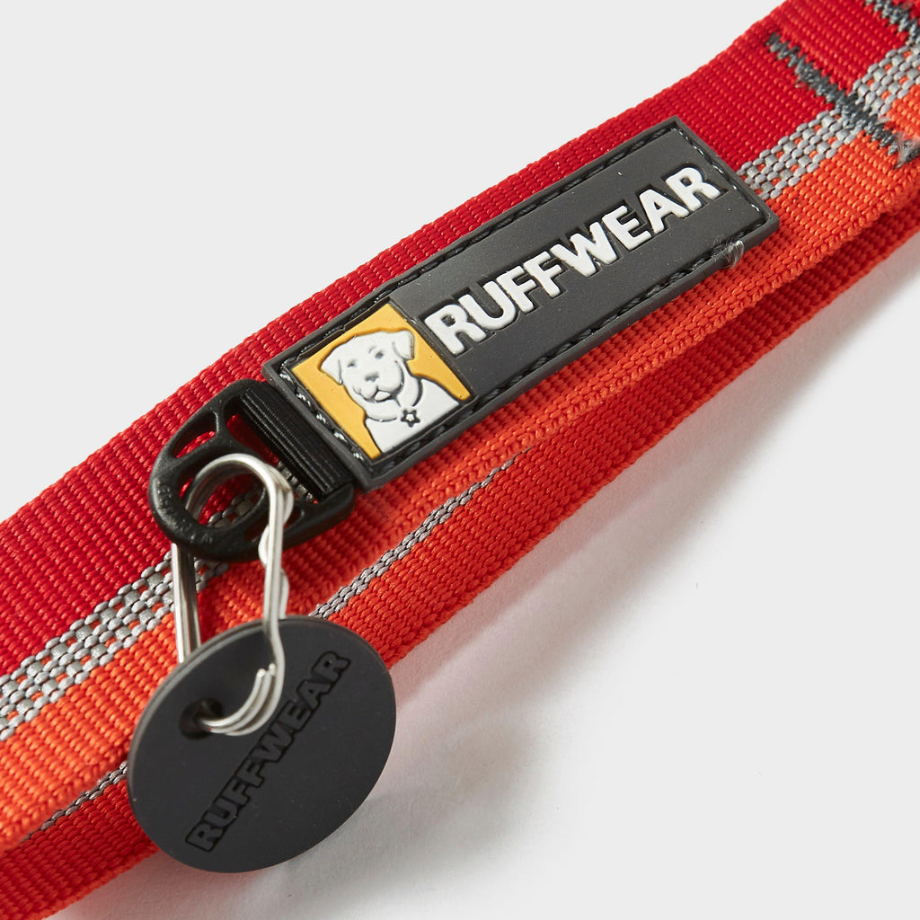 Crag Dog Collar