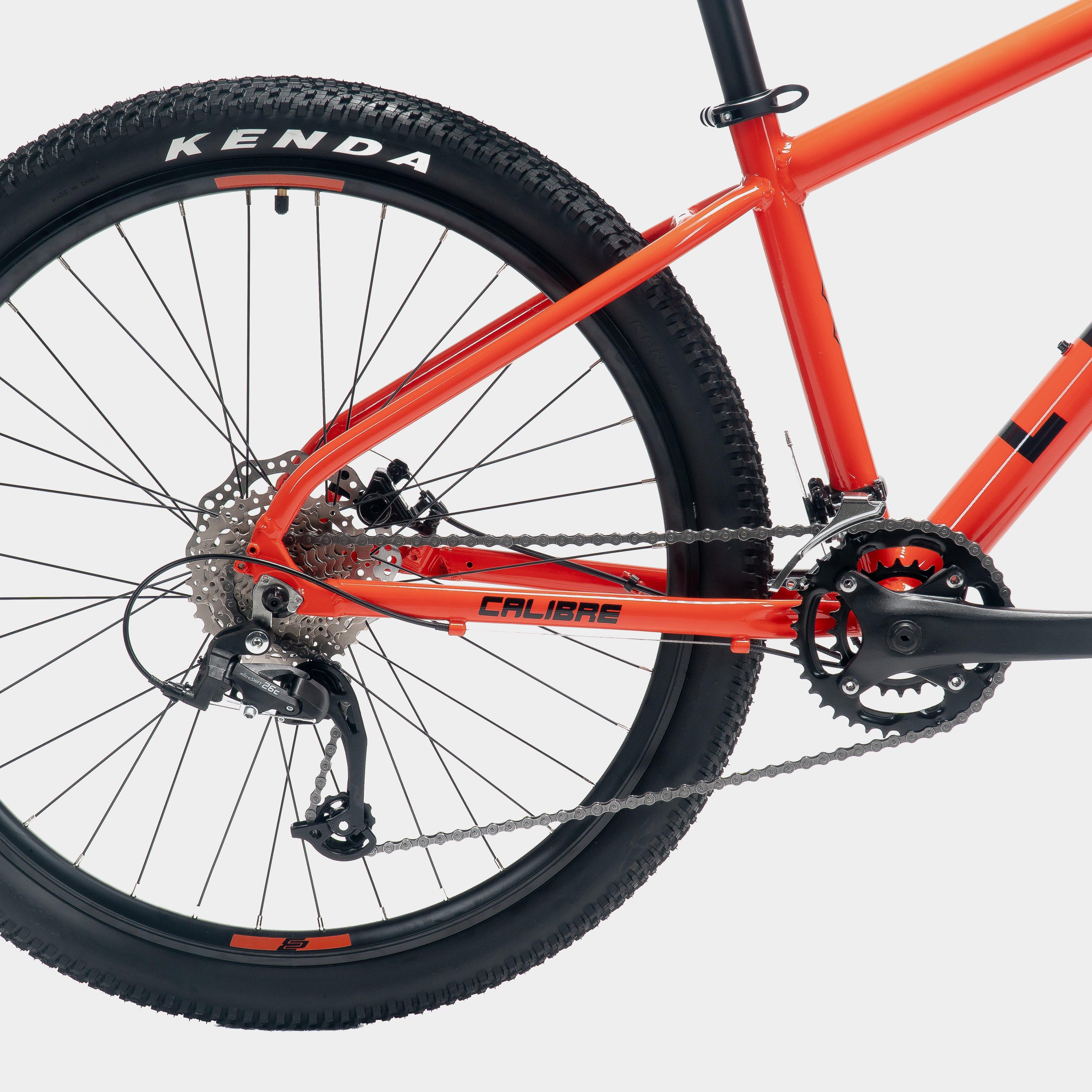 Lead Bike