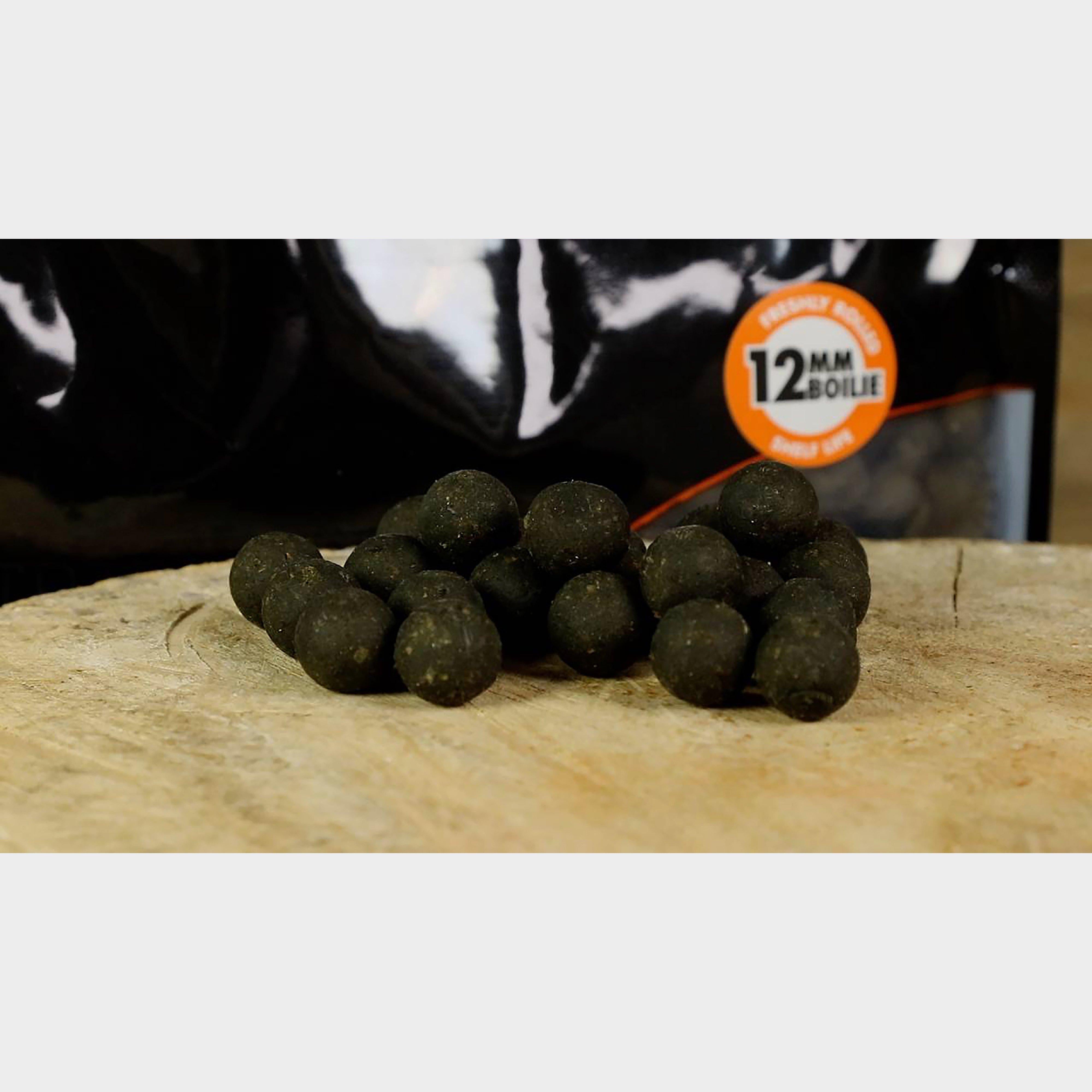 Octopus & Squid Boilies 15mm 1.8kg