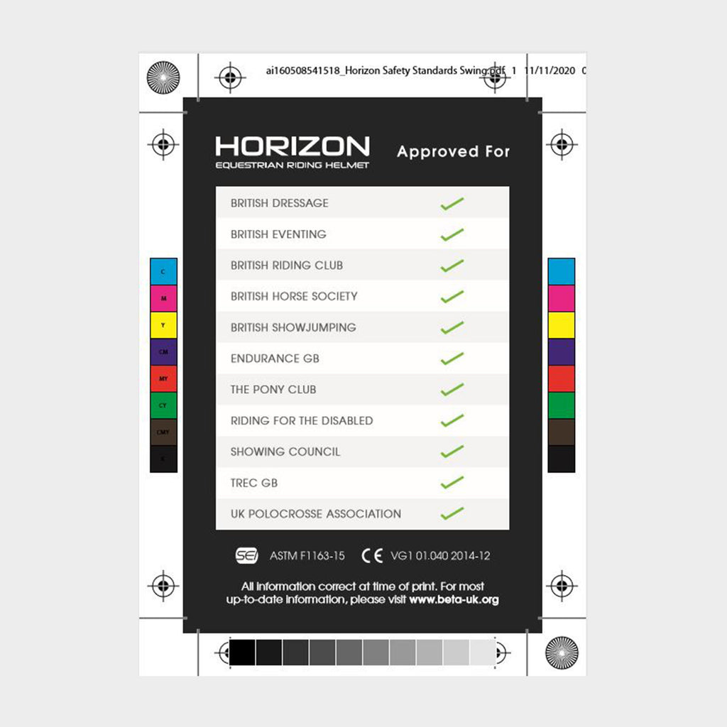 Horizon Helmet