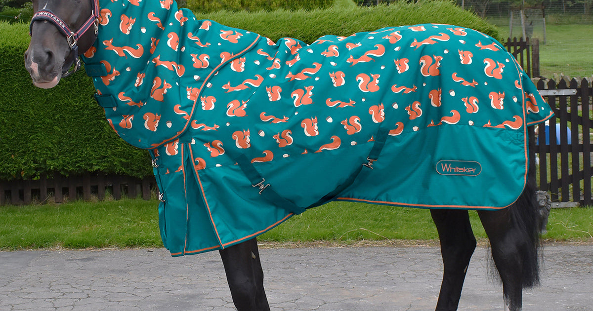 Squircle Rug Turquoise Whitaker Knutsford Squirrel Combo Turnout Rug – Millets