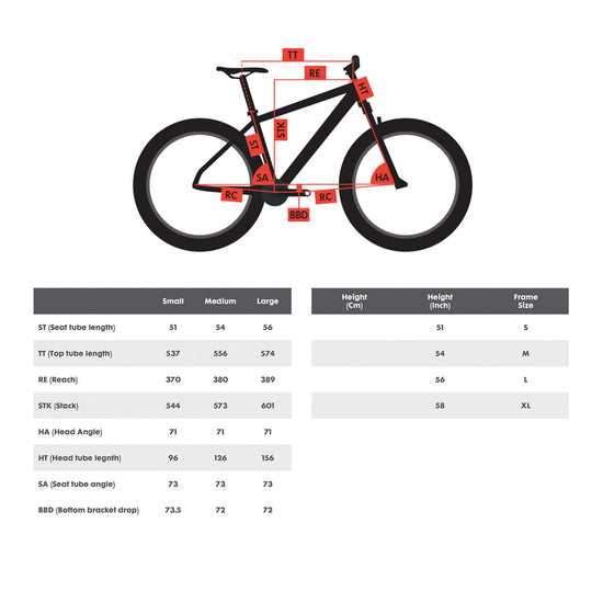 Renegade A1 Gravel Bike