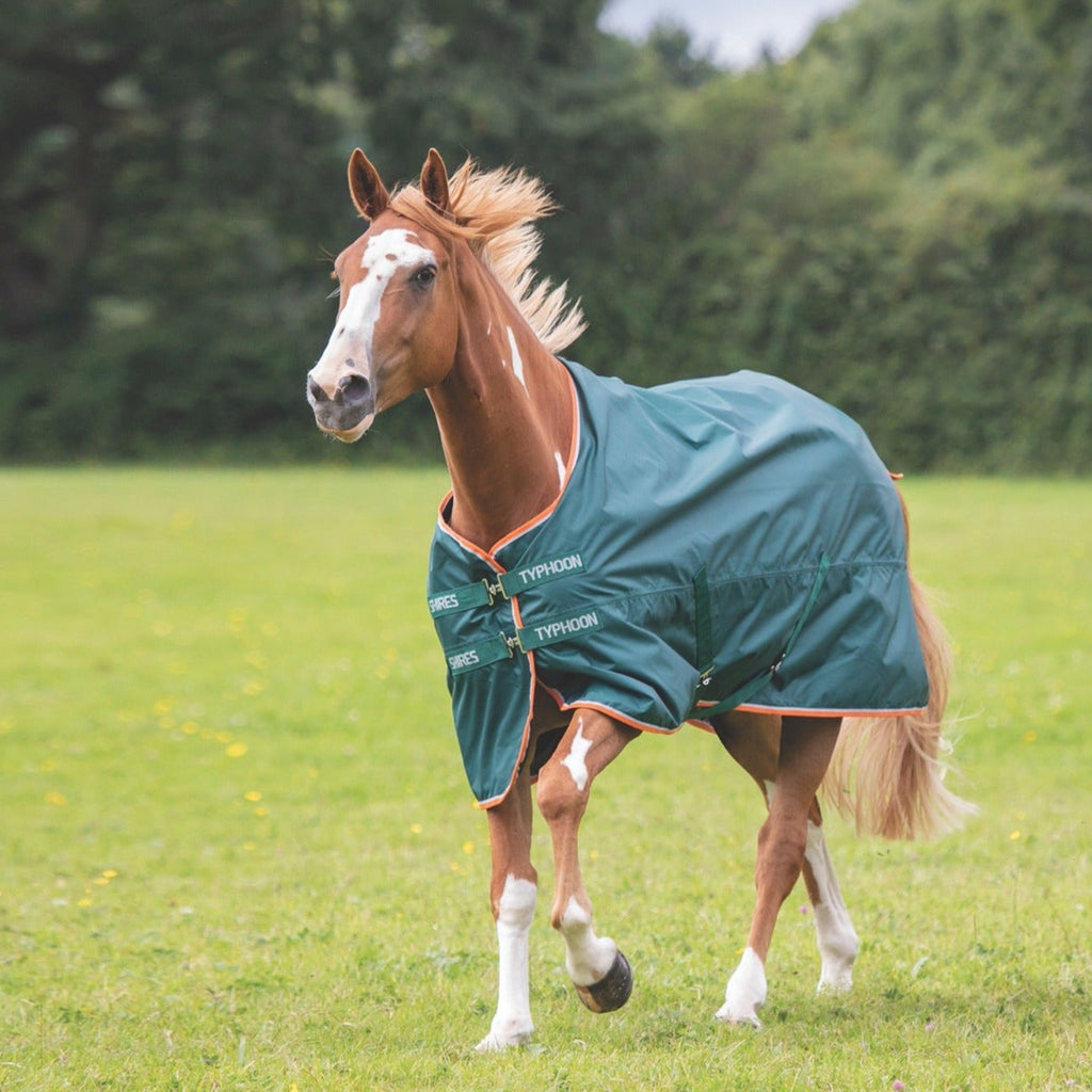 Typhoon Lite Rug