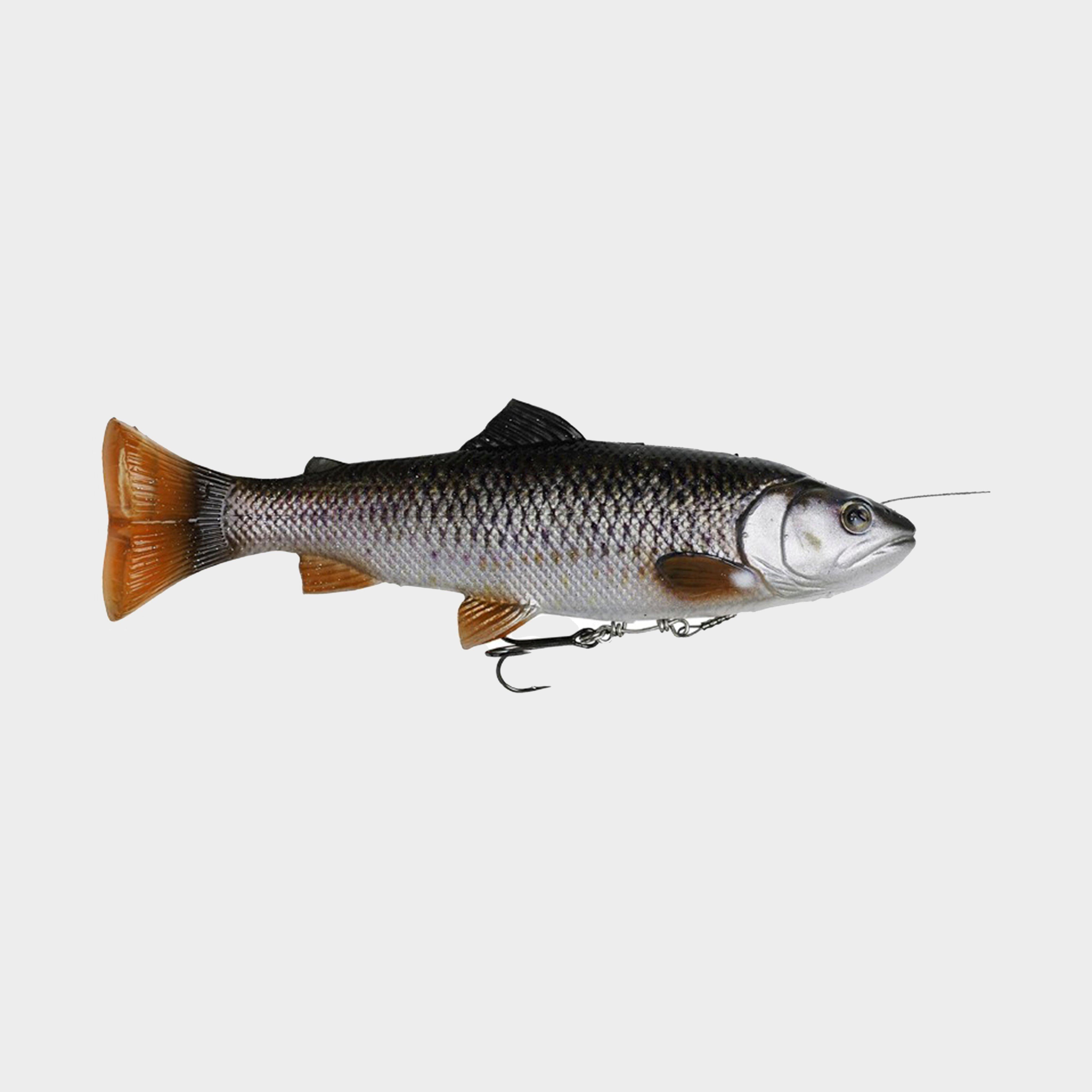 4D Line Thru Pulse Tail Trout 20cm (Chub)