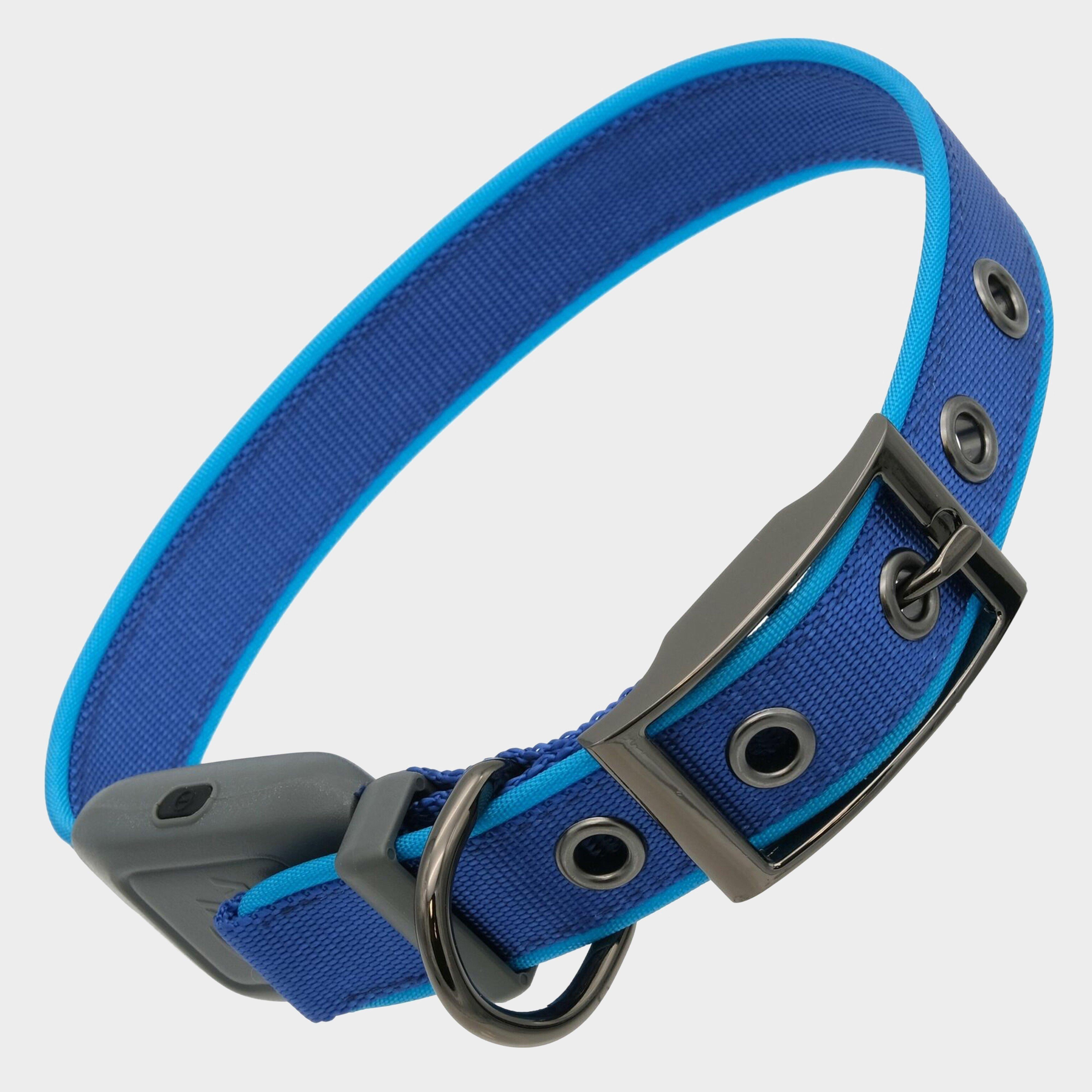 Nitedog Rechargeable LED Collar Medium