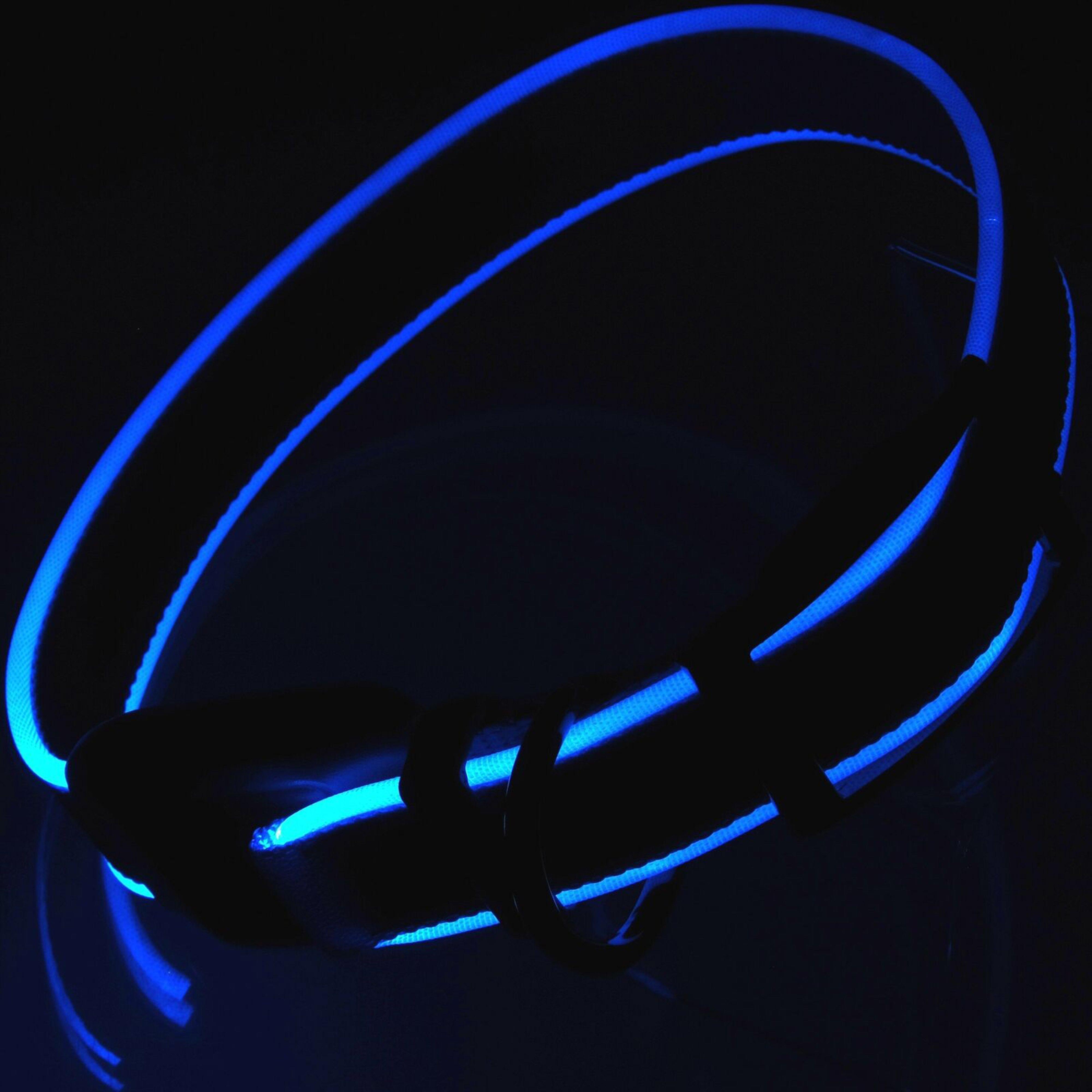 Nitedog Rechargeable LED Collar Medium
