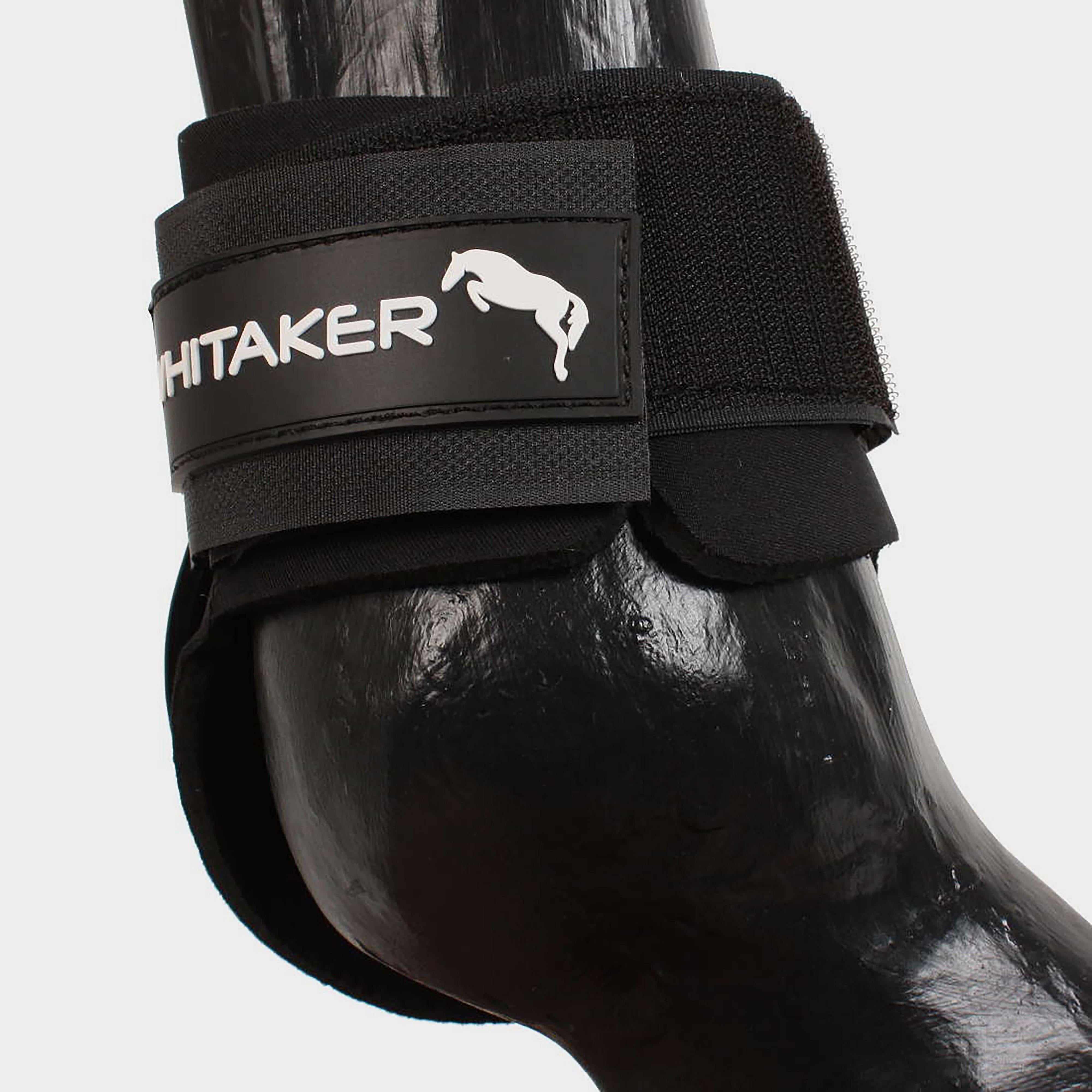 Tendon & Fetlock Boot Set