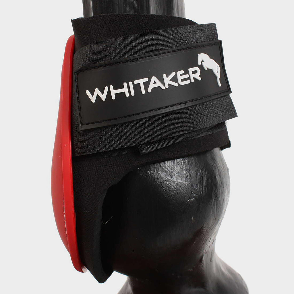 Tendon & Fetlock Boot Set