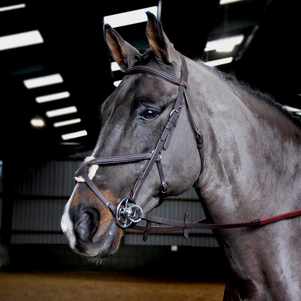 Ready-To-Ride Mexican Bridle