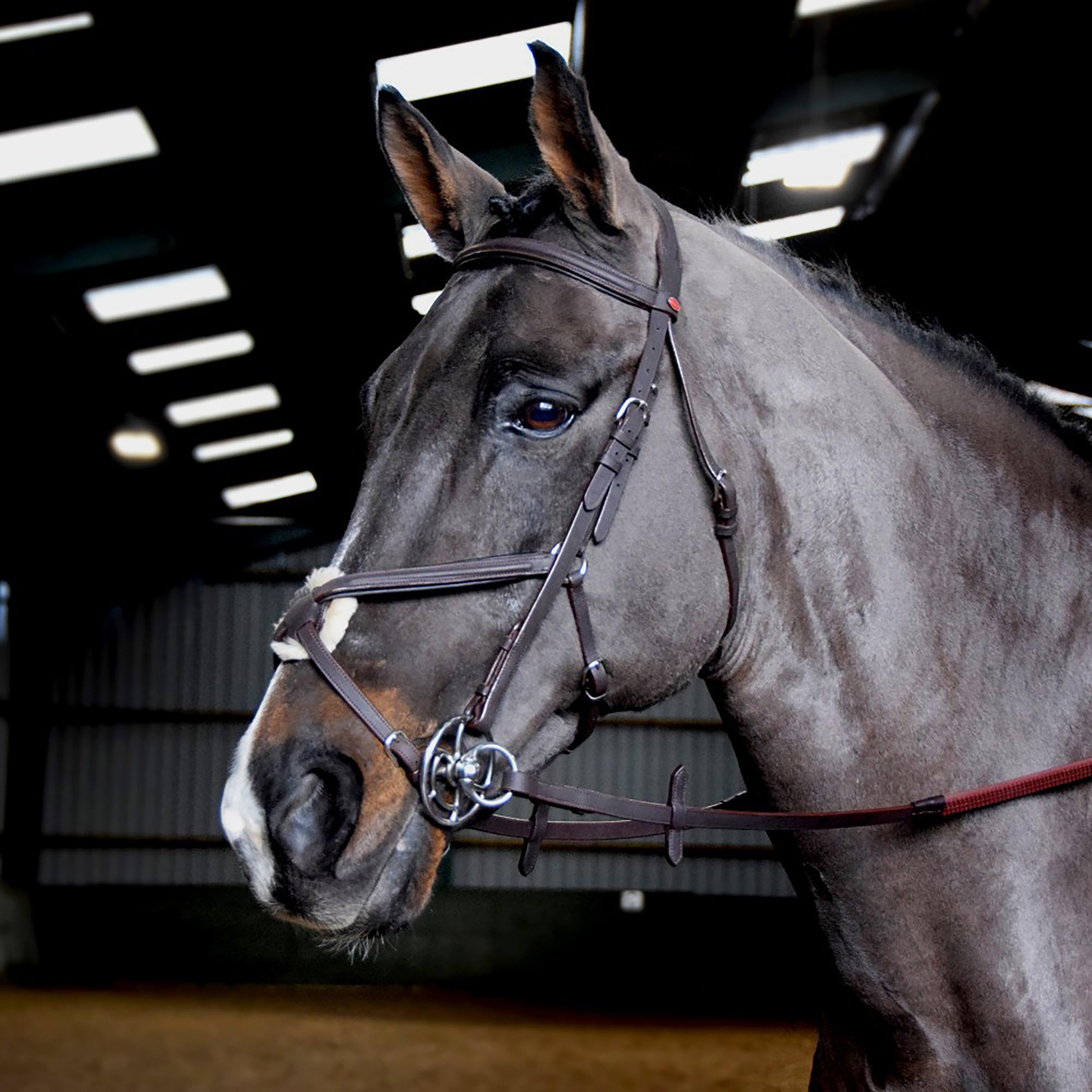 Ready-To-Ride Mexican Bridle