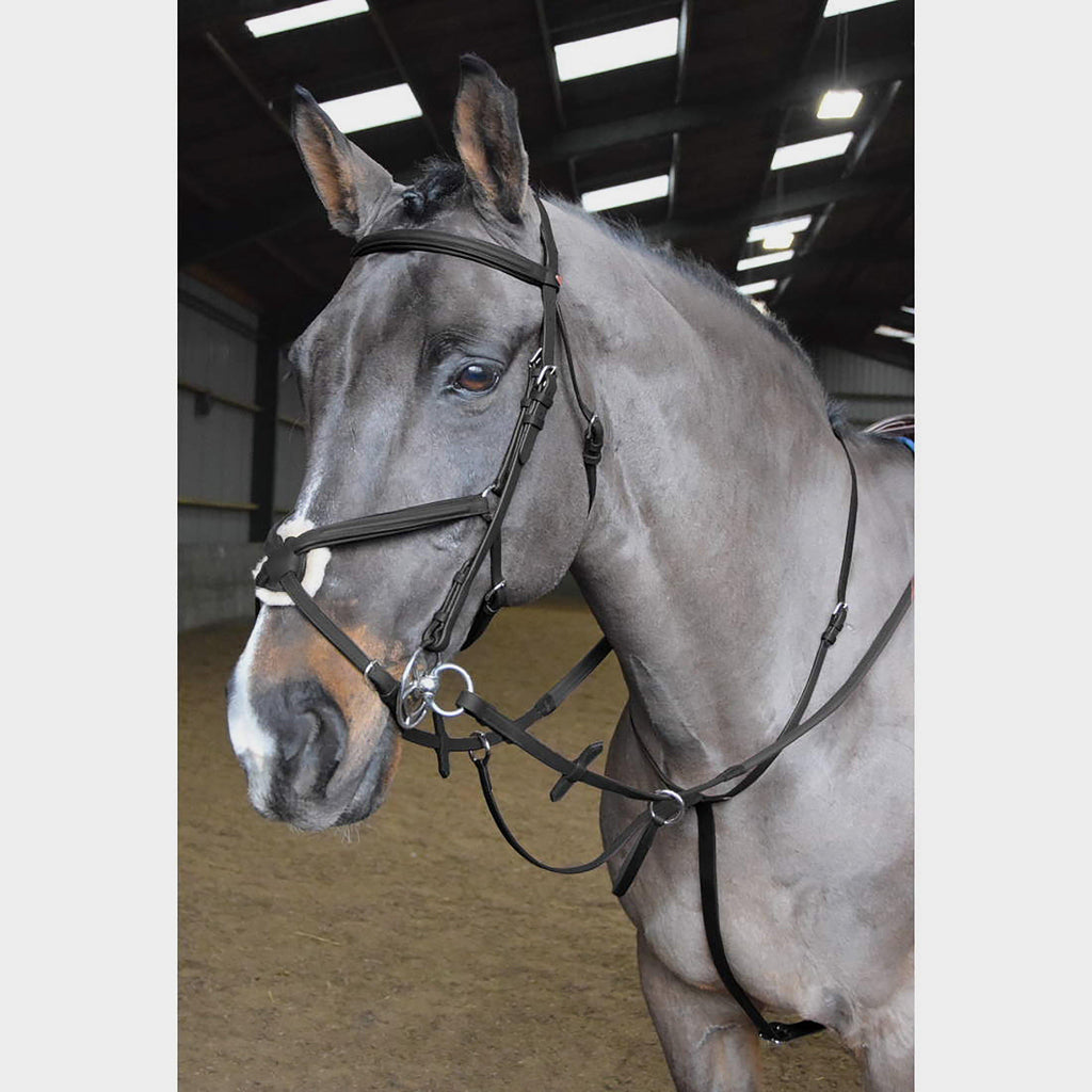Ready-To-Ride Martingale