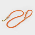 Digby & Fox Reflective Dog Lead