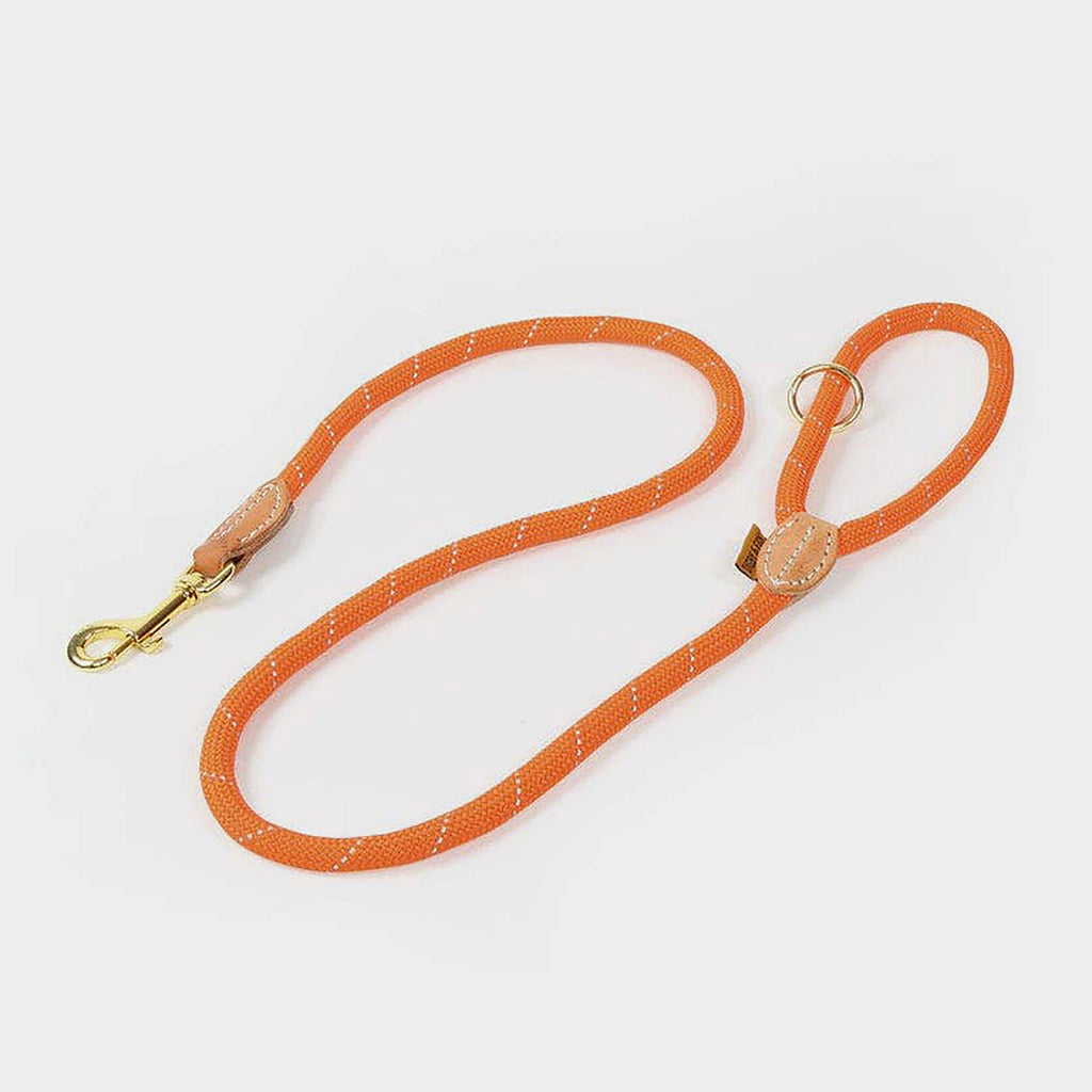Digby & Fox Reflective Dog Lead