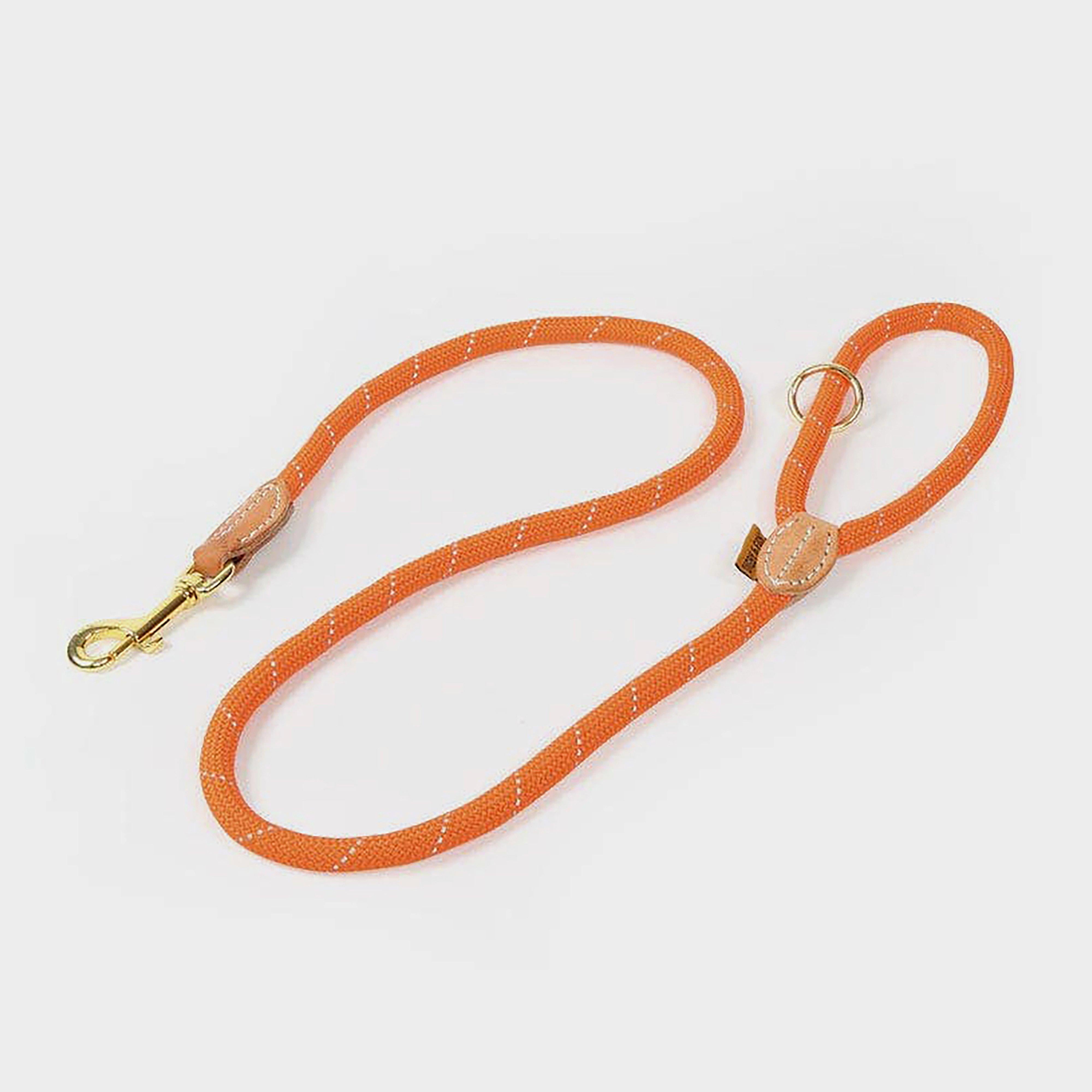Digby & Fox Reflective Dog Lead
