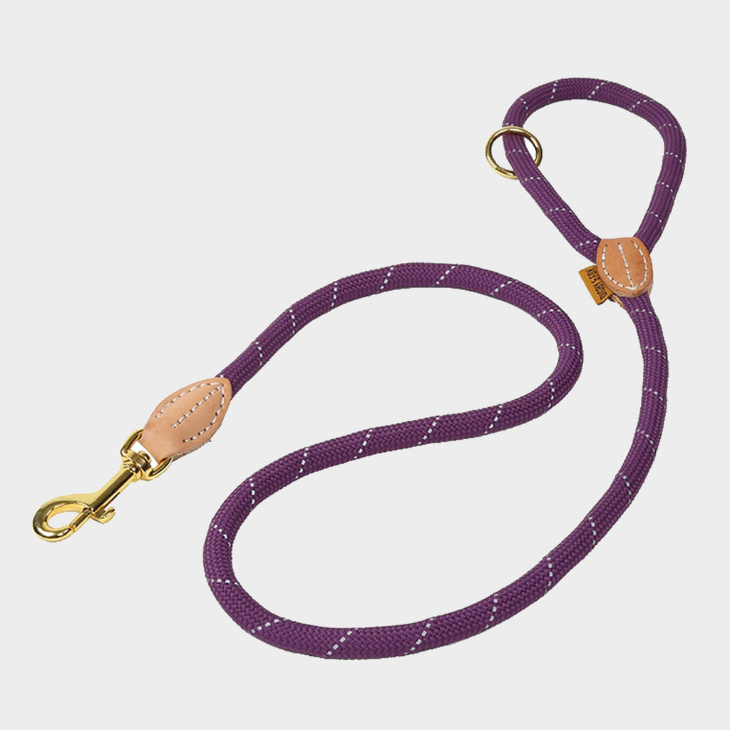 Digby & Fox Reflective Dog Lead