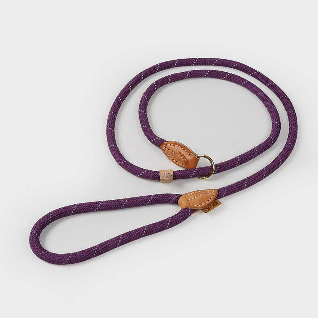 Digby & Fox Reflective Slip Dog Lead