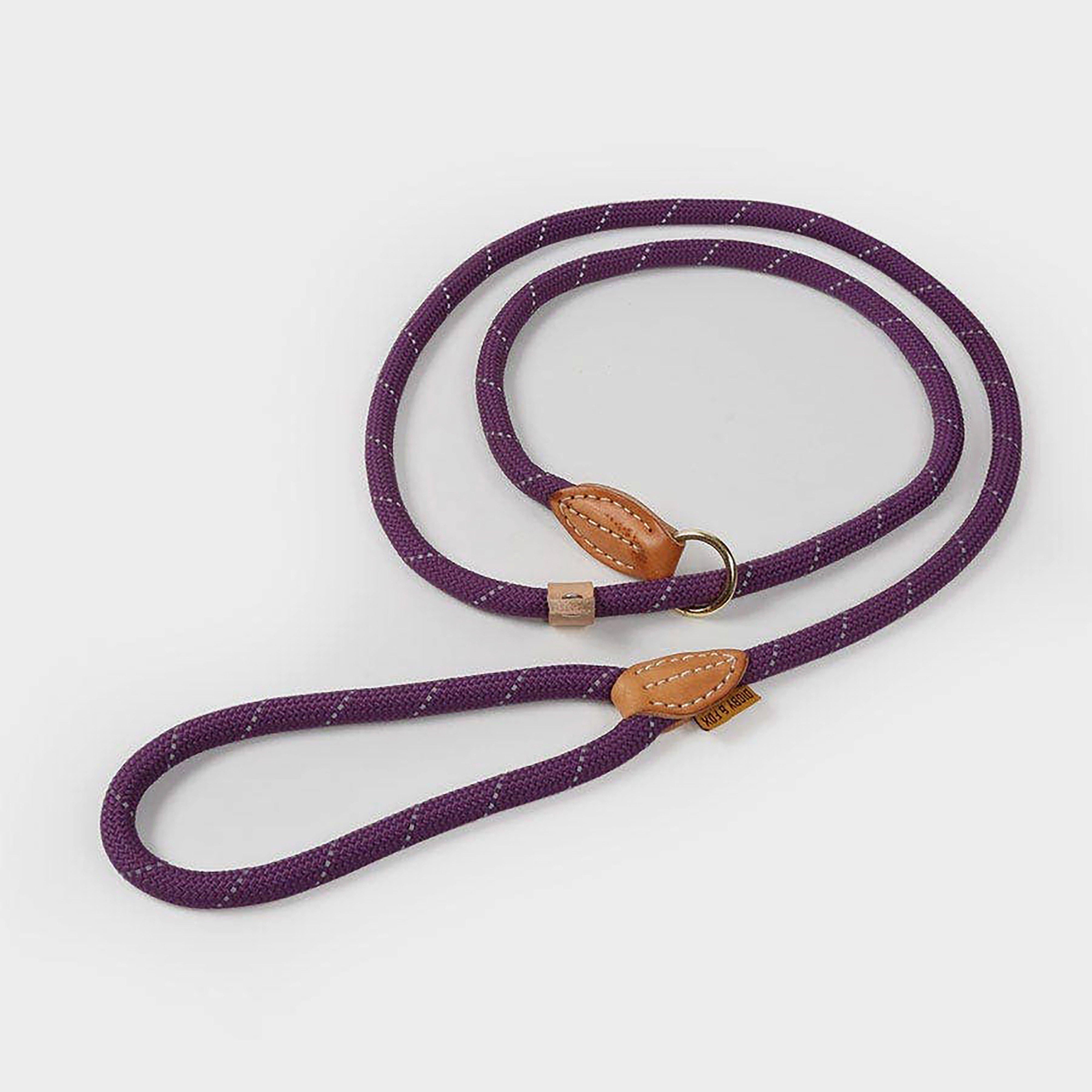 Digby & Fox Reflective Slip Dog Lead