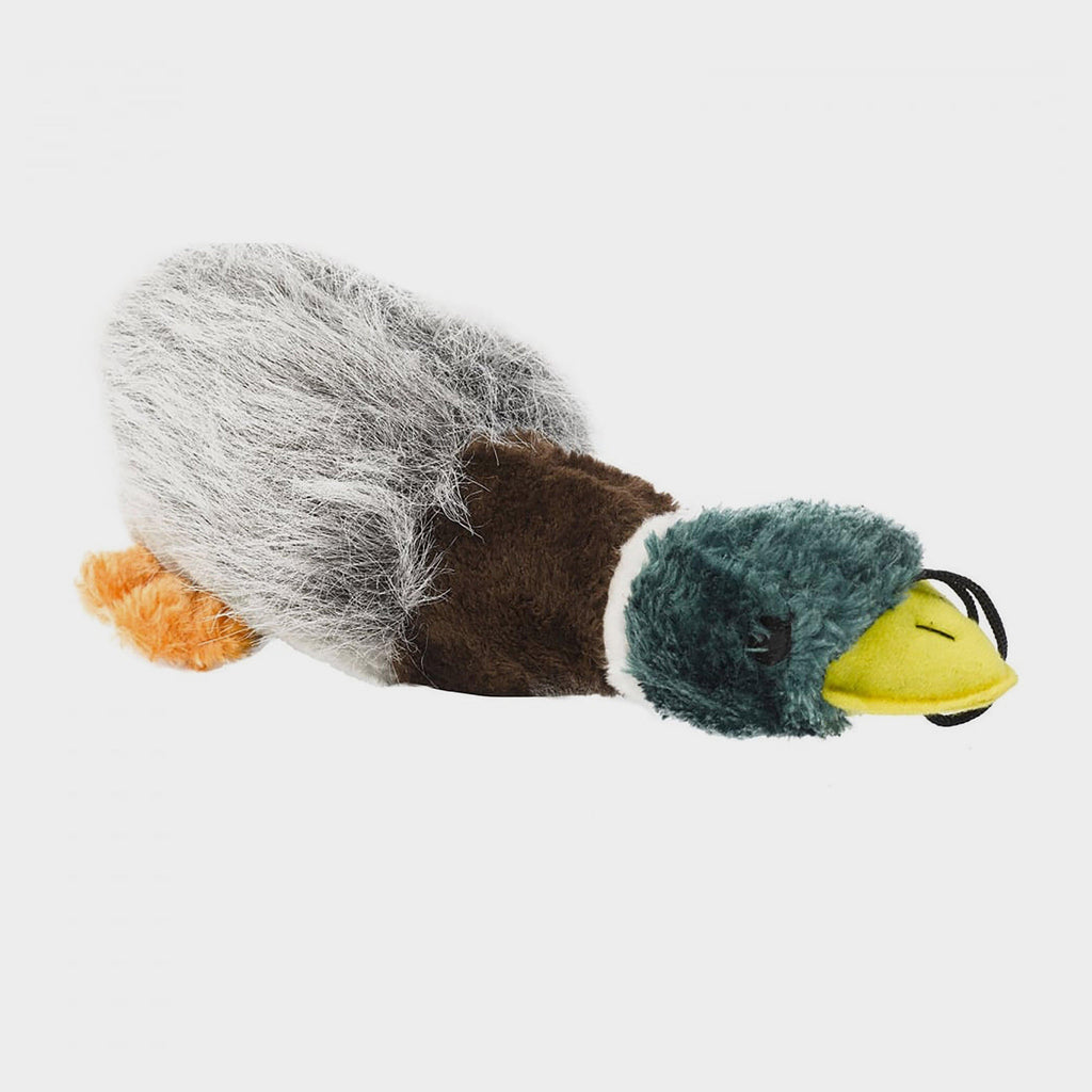 Honking Duck
