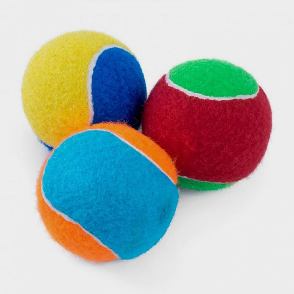 Squeaky Tennis Balls