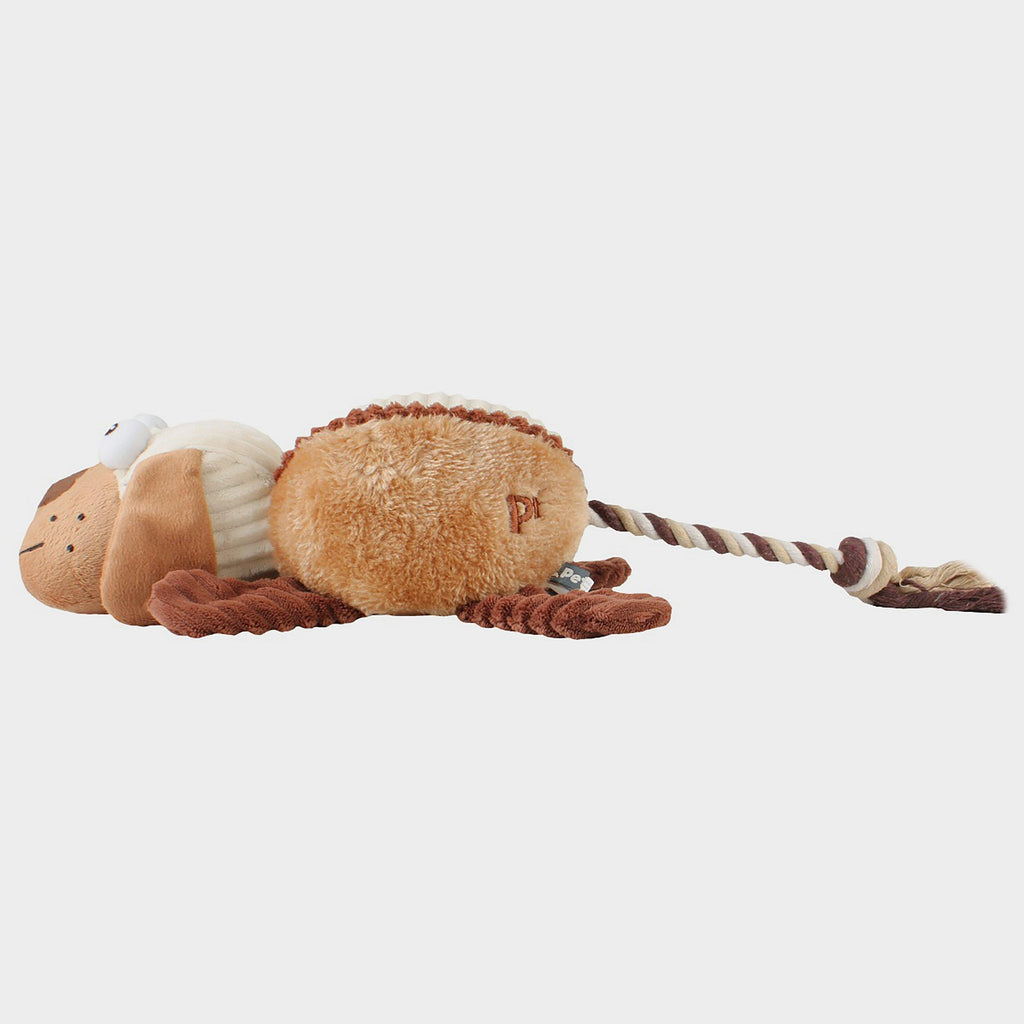 Rope Tail Dog