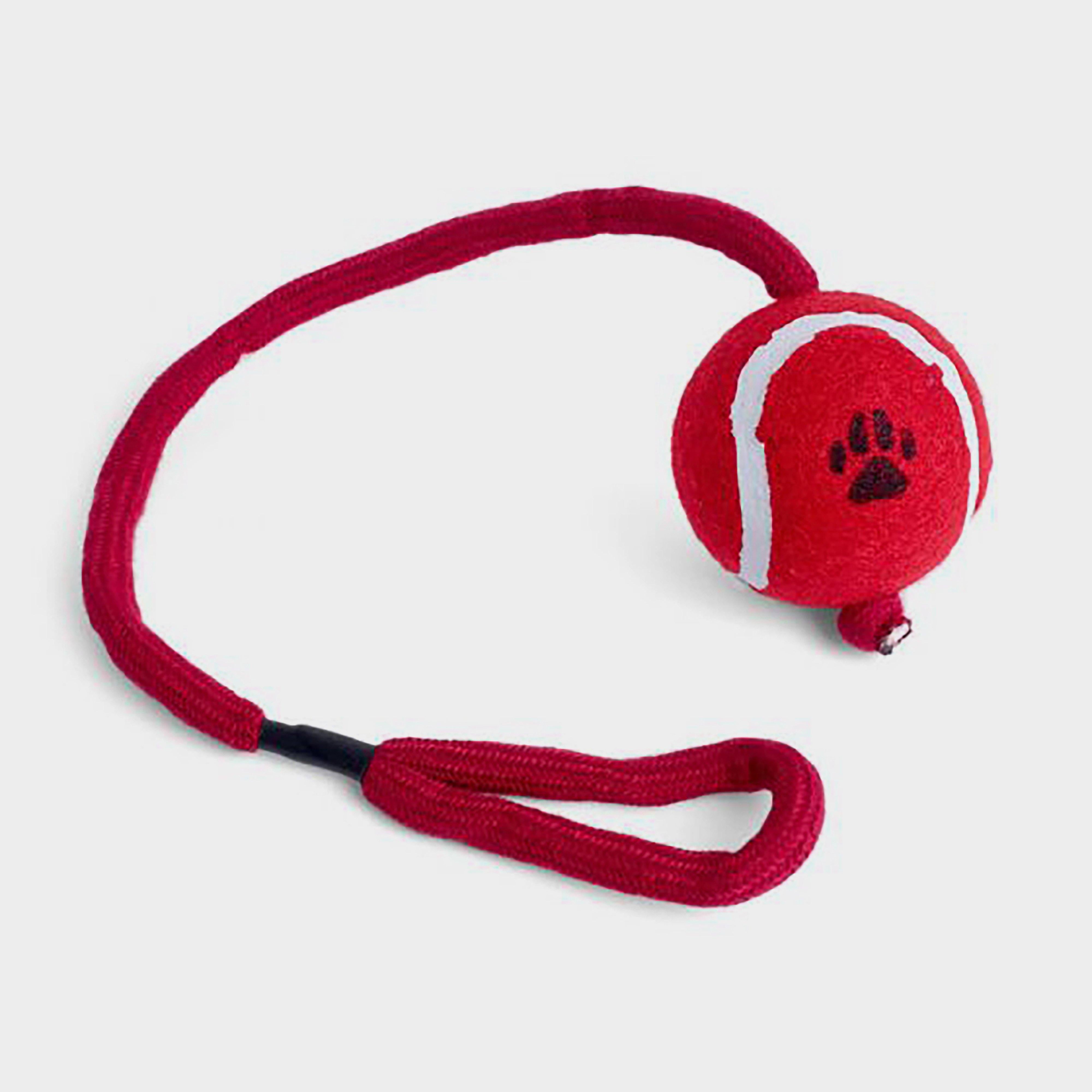 Ball on a Rope