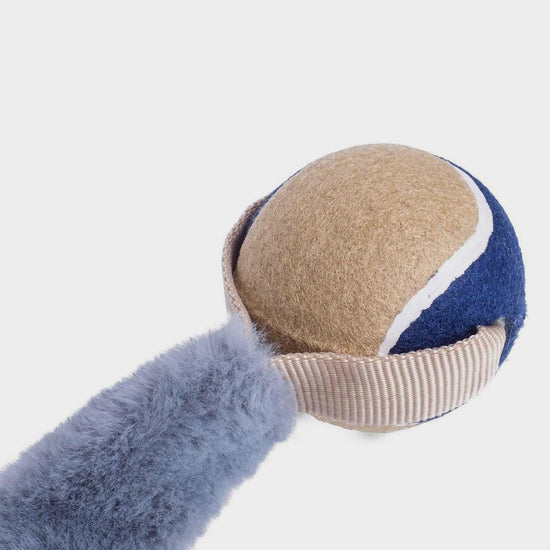 Outdoor Paws Aqua Stretchy Ball