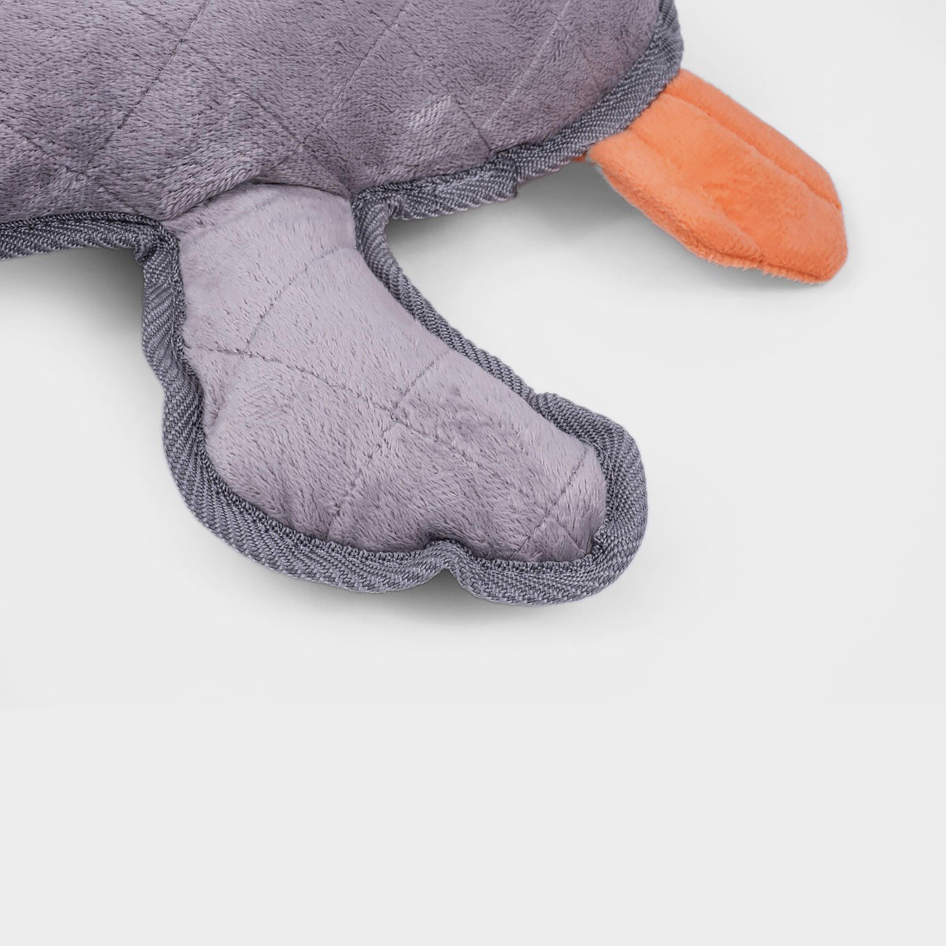 Tough Duck