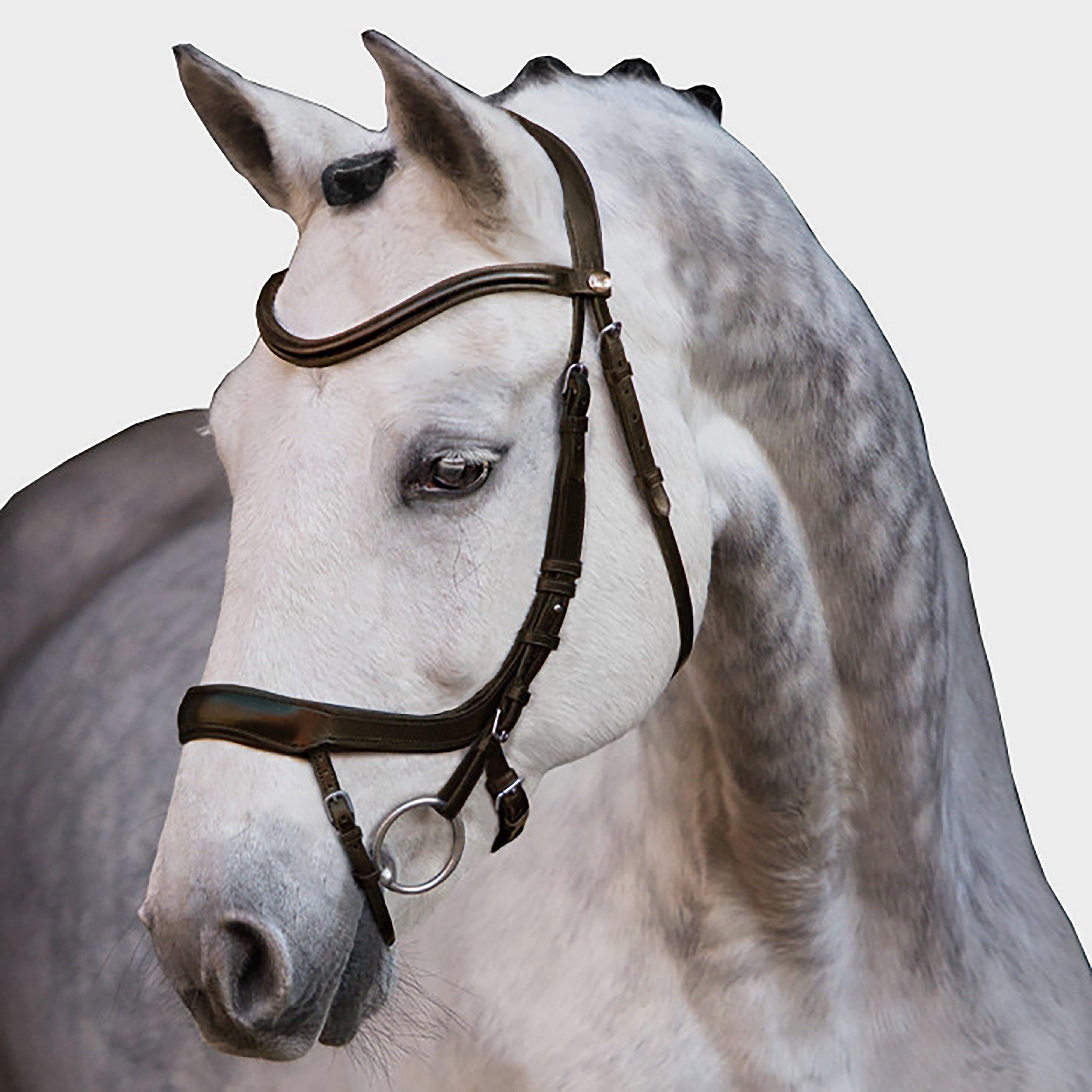 Equitus Alpha Bridle in Espresso