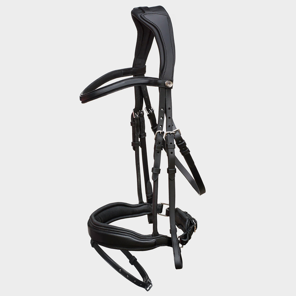 Stanford Flash Bridle