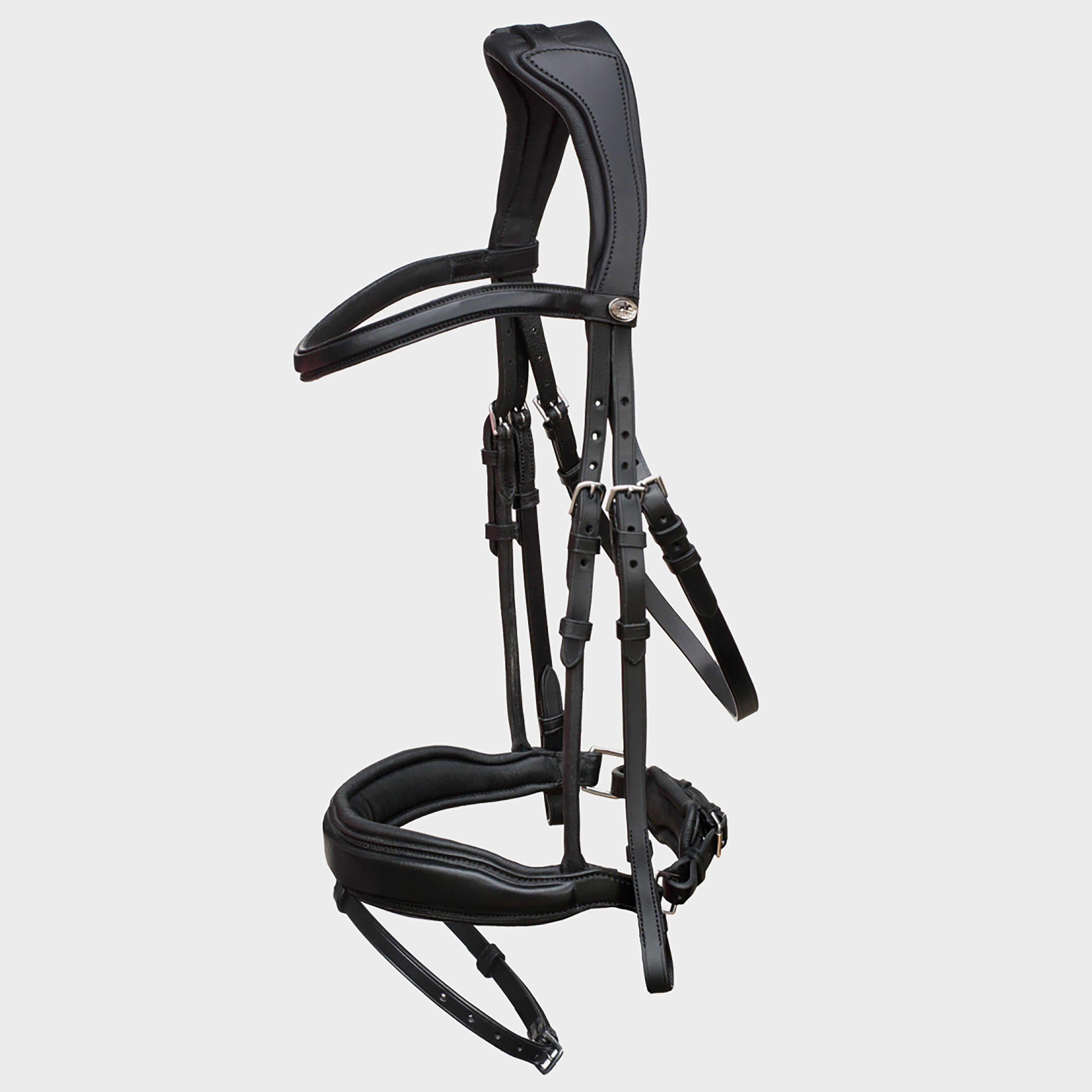 Stanford Flash Bridle