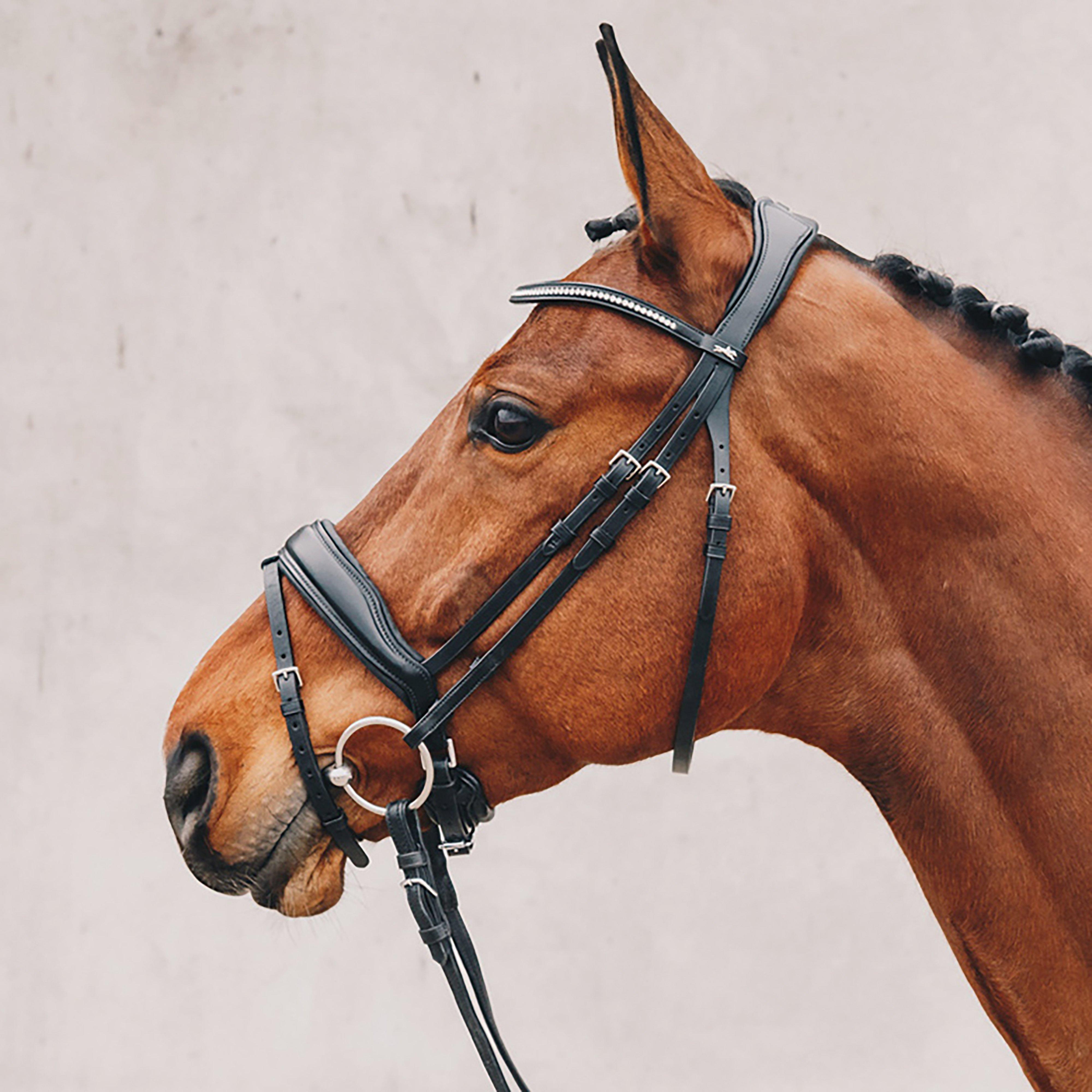 Stanford Flash Bridle