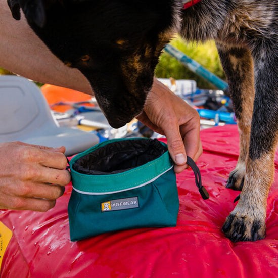 Quencher Cinch Top Packable Dog Bowl