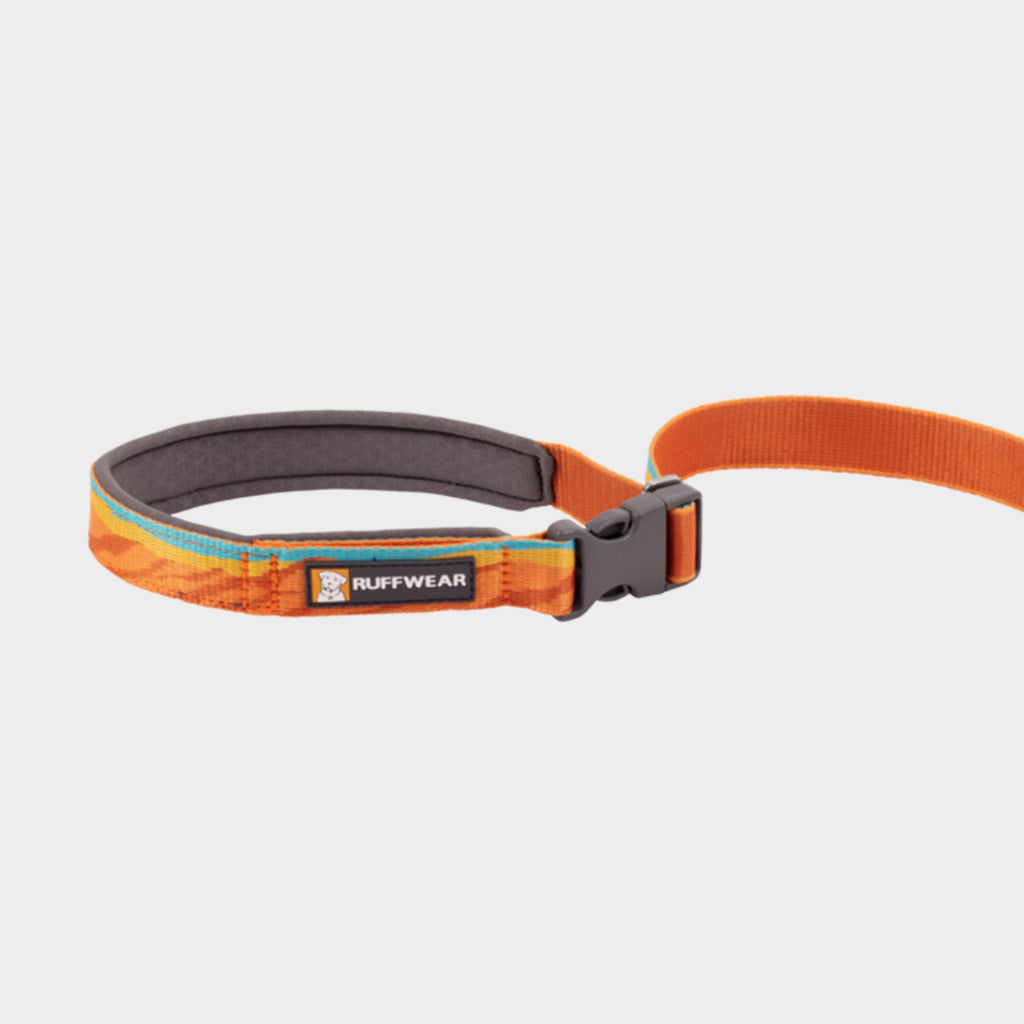 Flat Out Adjustable Dog Lead