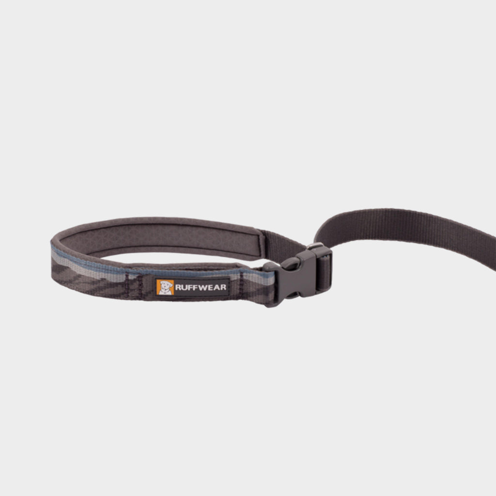 Flat Out Adjustable Dog Lead