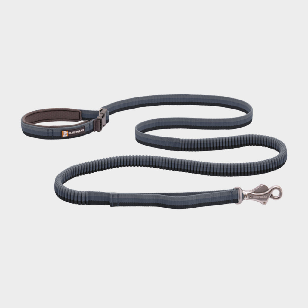 Roamer™ Dog Lead