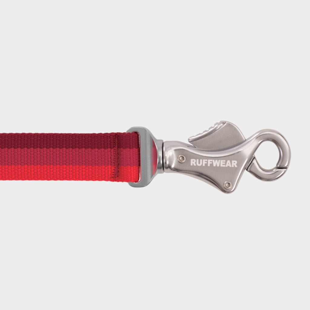Roamer™ Dog Lead