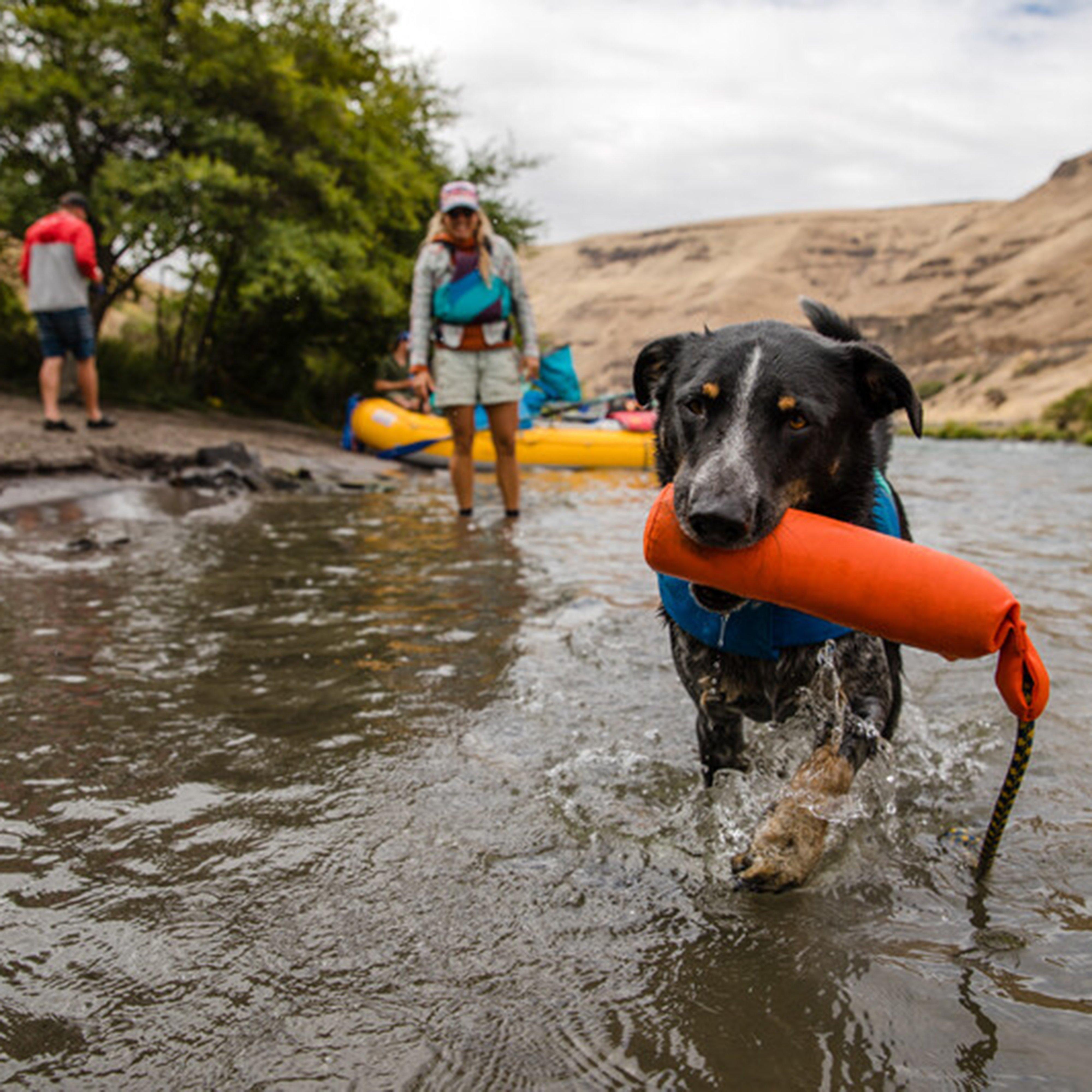 Lunker Floating Throw Toy