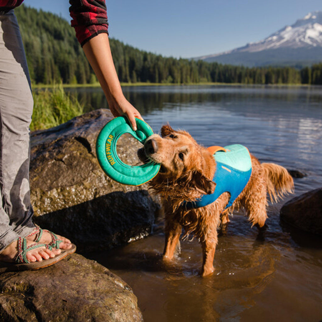 Hydro Plane™ Floating Throw Dog Toy Large