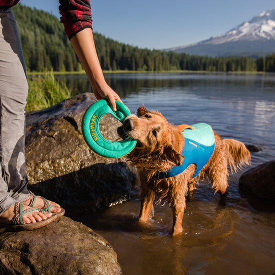 Hydro Plane™ Floating Throw Dog Toy Large