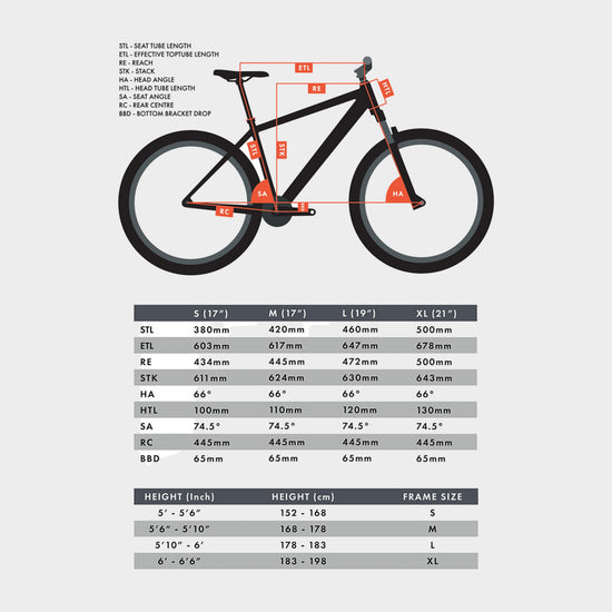 Kinetic T2