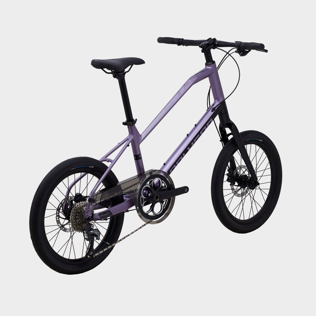 Zeta Compact Urban Bike